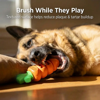 Carrot-Shaped Tough Chew Toy for Powerful Chewers